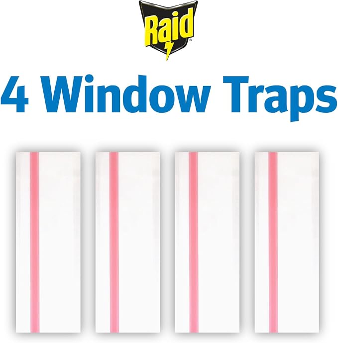 Raid Window Fly Traps, 4 Traps