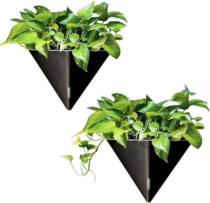 LaLaGreen Indoor Wall Planter (12in, 2 Pack) Black Self Watering Flower Pot | Large Geometric Hanging Vase Vessel with Metal Hanger, Modern Stylish Wall Mounted Succulent Pot Holder Decor
