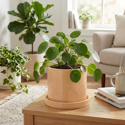 6 Inch Ceramic Plant Pot with Drainage Hole & Tray – Indoor Planter for Succulents, Herbs & Houseplants – Modern Ceramic Planter with Mesh Pad, Dibber & Widger – Buttercream
