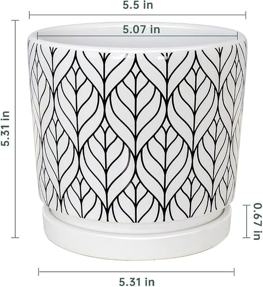 Ton Sin Plant Pots,5.5 Inch White Pots for Indoor Plants with Drainage Holes,Cylinder Flower Pot Ceramic Planters with Saucer,Cactus Succulent Outdoor Garden Pots Set of 4