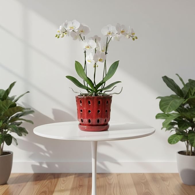 Orchid Pots 4.9Inch Ceramic Orchid Pots with Holes Set of 2 (Red)