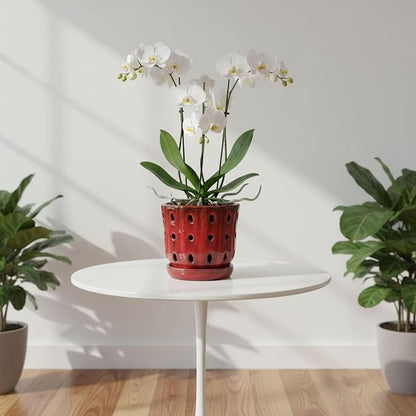 Orchid Pots 4.9Inch Ceramic Orchid Pots with Holes Set of 2 (Red)
