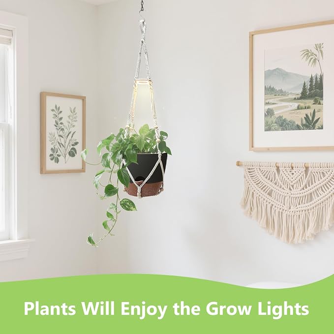 2 Pack Self Watering Hanging Planters with Grow Light for Indoor Plants | 10 Brightness, 3 Light Modes, 3/9/12H Timer, Built-In Reservoir, Drainage Holes, 10 in Pots