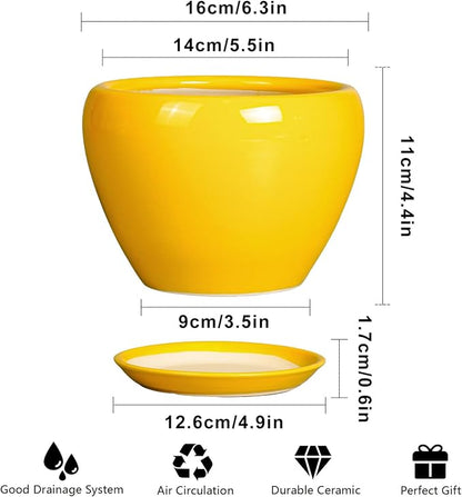 Ceramicfor Ceramic Pot for Plants - 6 Inch Plant Pot Glaze Modern Decorative Round Planter with Drainage Hole and Saucer for Home Patio Room Office House Decor, Yellow