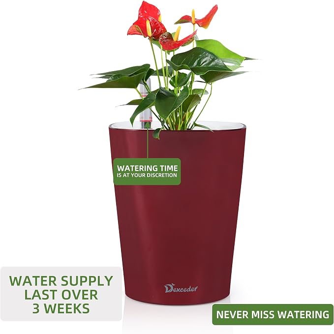 Dexceder 6x7 Self Watering Planter (Wine Red) | High Gloss Table Flower Plant Pot with Water Level Indicator Indoor Outdoor