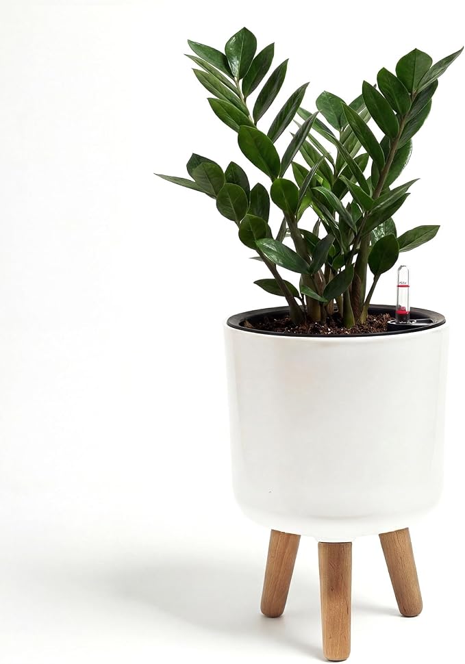 Bamworld Self Watering Pots for Indoor Plants with Water Level Indicator 8 inch Plant Pot Plastic Planter with Wooden Stand for Outdoor Plants Modern Décor for Porch Patio White Small