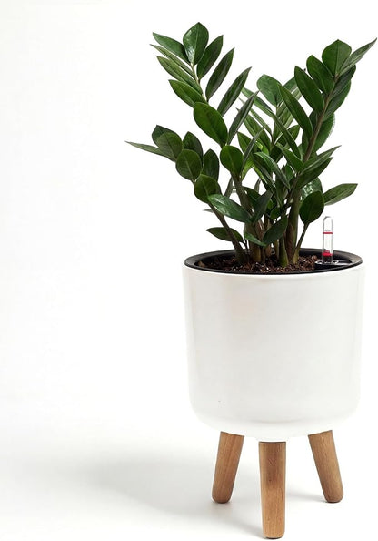 Bamworld Self Watering Pots for Indoor Plants with Water Level Indicator 8 inch Plant Pot Plastic Planter with Wooden Stand for Outdoor Plants Modern Décor for Porch Patio White Small