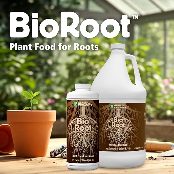 General Organics BioRoot 0-1-1 Root & Plant Food – Liquid Formula for Seedlings, Cuttings, Transplants & Container Gardens – Supports Strong Root Growth, 1 Quart