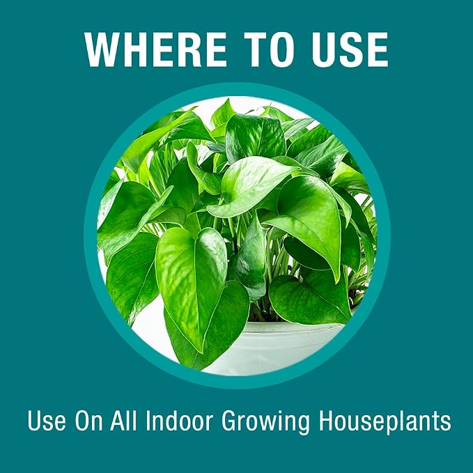 Baby Bio Houseplant Food Concentrate - (3 Pack) 5.9 fl oz Bottle