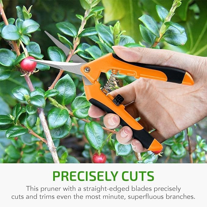 iPower 6.5 Inch Gardening Scissors Hand Pruner 6.5" Pruning Shear Gardening Hand Pruner for Gardening Potting with Titanium Coated Curved Precision Blades, Orange-1 Pack New