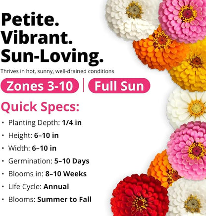 HOME GROWN Thumbelina Zinnia Seeds (1g) – 500 Dwarf Zinnia for Planting 2026, Spring Flower Seeds to Plant Outside, Easy Summer Garden Bloom for Containers & Borders (Zinnia elegans)