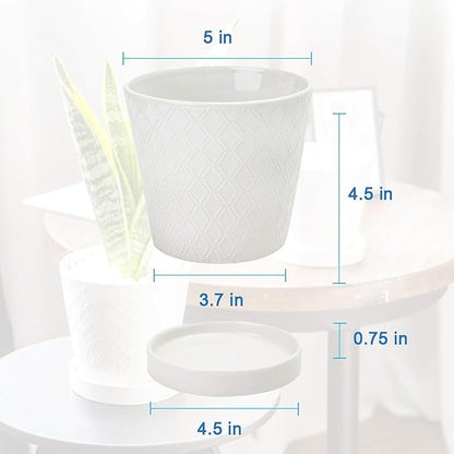 BUYMAX Plant Pots Indoor –5 inch Ceramic Flower Pot with Drainage Hole and Ceramic Tray - Gardening Home Desktop Office Windowsill Decoration Gift, Set of 4 - Plants NOT Included (White)