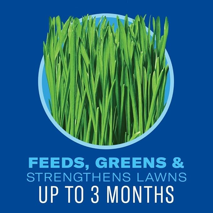 BioAdvanced 5 In 1 Weed and Feed Granules - Kills Lawn Weeds & Crabgrass - Feeds, Greens & Strengthens Lawn - Treats Up to 10,000 Square Feet - 24 lb Bag