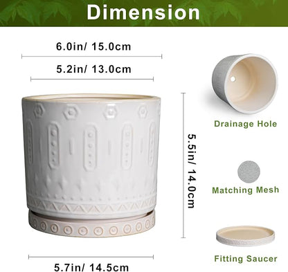 Eightpot Ceramic Planter, 6 Inch Pot for Plants with Drainage Holes and Tray, Round Plant Pots for Indoor Outdoor Plants, Boho Decorative Flower Pots, Home Room Decor, Gifts for Women, White