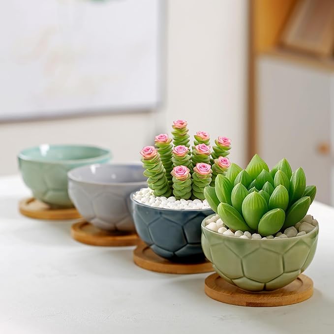 YYW Ceramic Succulent Planter, 4 Pack Cute Garden Pots with Drainage and Attached Saucer
