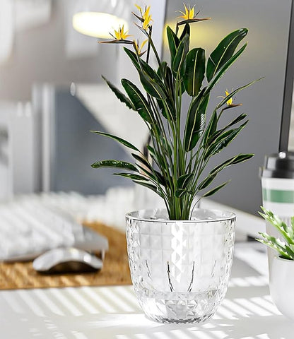 Self Watering Pots for Indoor Plants, Flower Pots, Self Watering Plant Pot-3pcs 6inch Clear