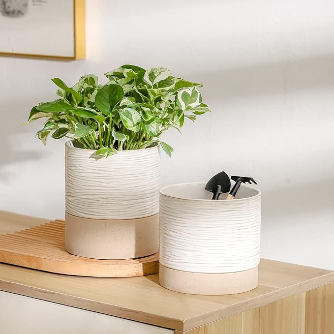 Nihow Ceramic Plant Pot,6 Inch Planter with Drainage Hole&Saucer for Indoor | Cream White & Brown,Indoor & Outdoor, Cylinder Round Flower Pot, For Succulent/Herbs/Violets