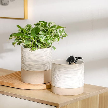 Nihow Ceramic Plant Pot,6 Inch Planter with Drainage Hole&Saucer for Indoor | Cream White & Brown,Indoor & Outdoor, Cylinder Round Flower Pot, For Succulent/Herbs/Violets