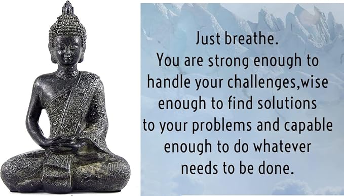 Bellaa Buddha Statue Zen Home Decor Mindfulness Meditation Sculpture Peace Harmony Dhyana Mudra Sitting Blessing Altar Figurine Vintage Black 22739