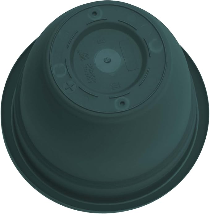 Bloem Ariana 10" Plastic Self-Watering Planter, Charleston Green | Self-watering disk at the bottom of the pot that acts as a water wick and reservoir for optimal plant health.