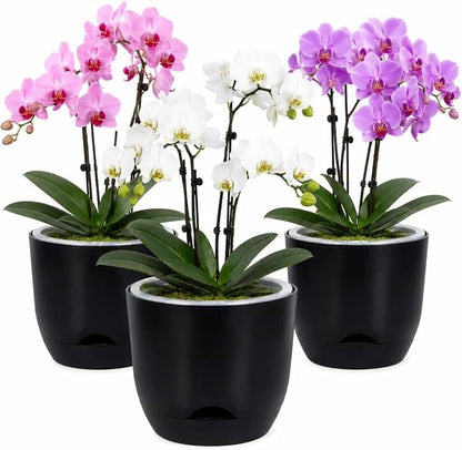 QCQHDU 7.2Inch Orchid Pots with Holes for Repotting, Double-Layer Plastic Self Watering Flower Pots for Indoor Plants with Drainage Holes, Clear Orchid Pot Match Decorative Orchid Container, 3 Packs
