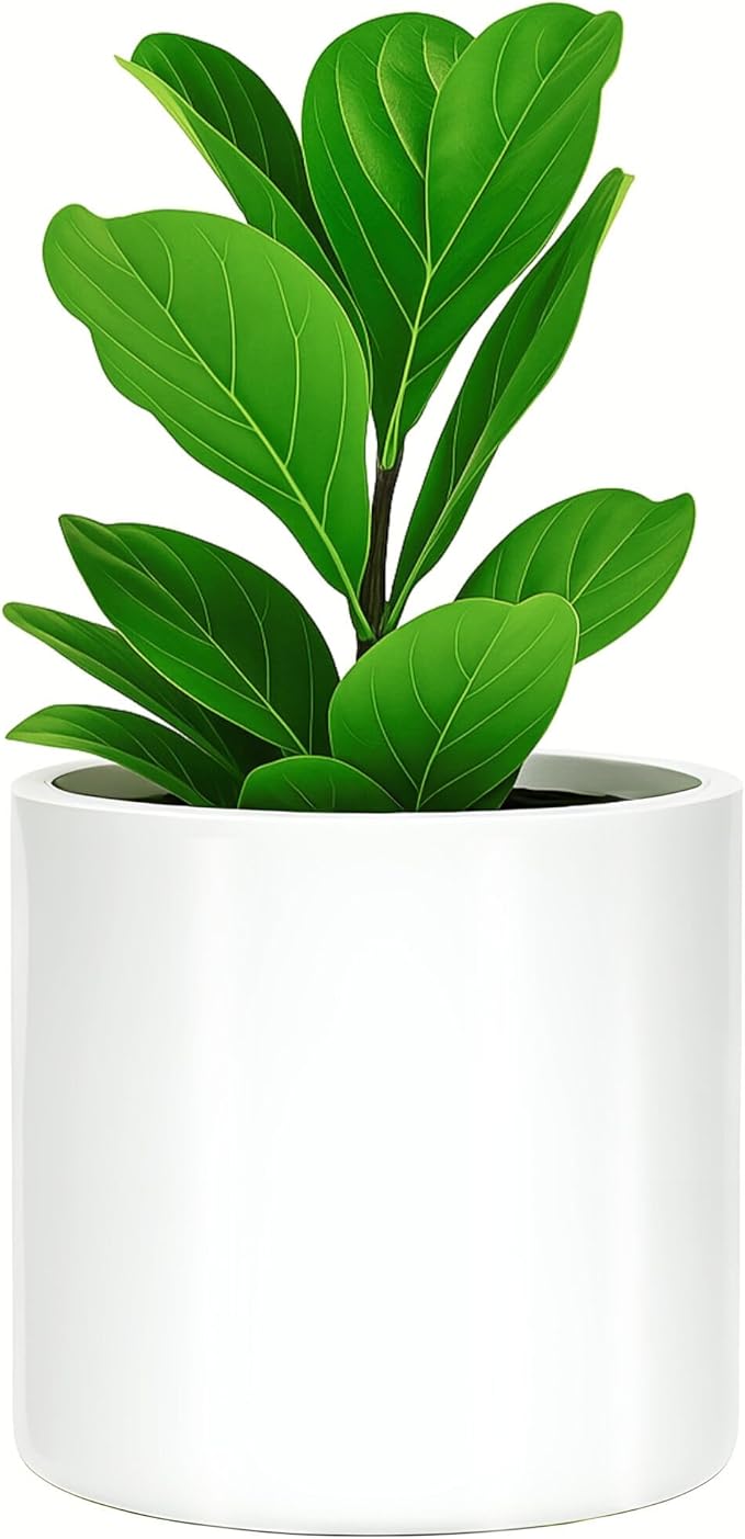 Fox & Fern Large Indoor Planter, Modern Large Plant Pot for Indoor or Outdoor, UV and Frost Resistant - 10 Inch, Glossy White Flower Pot with Drainage Plug, Lightweight