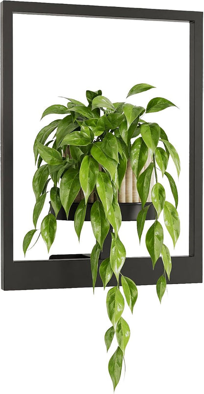 Bamworld Plant Stand Indoor Wall Decor Metal Plant Hanger Indoor Hanging Plant Holder Wall-Mounted Planters Outdoor Plant Rack Black 1 Pack (Patent Design)