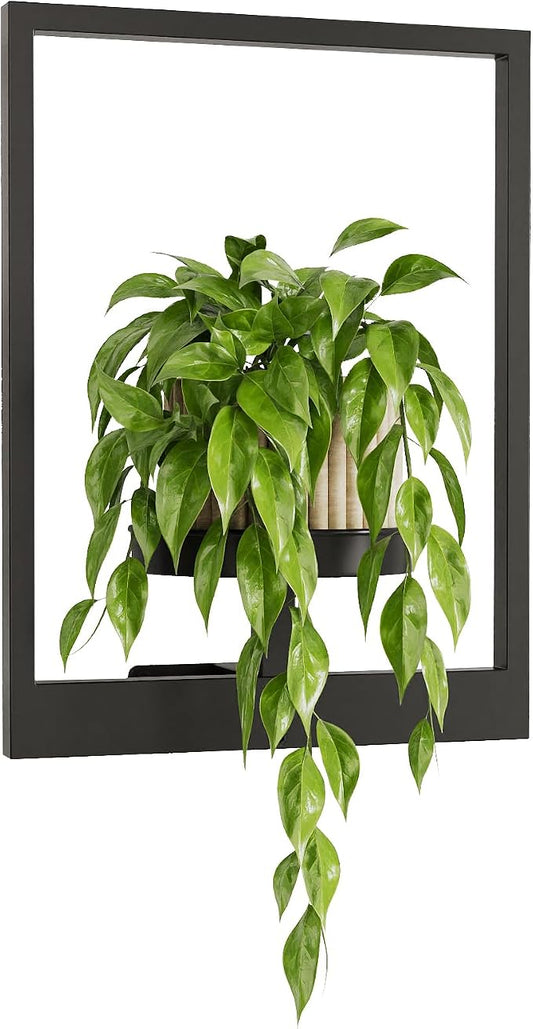 Bamworld Plant Stand Indoor Wall Decor Metal Plant Hanger Indoor Hanging Plant Holder Wall-Mounted Planters Outdoor Plant Rack Black 1 Pack (Patent Design)