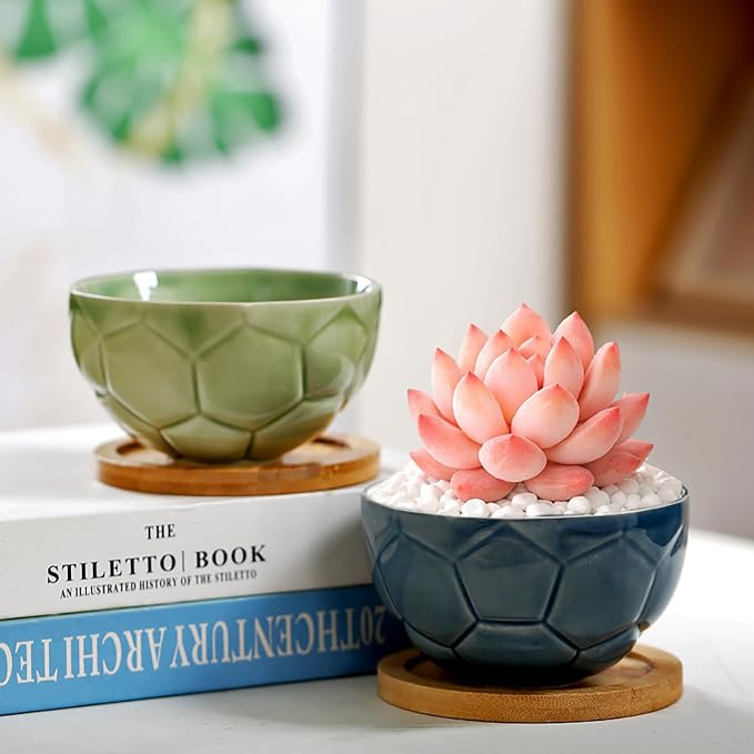 YYW Ceramic Succulent Planter, 4 Pack Cute Garden Pots with Drainage and Attached Saucer