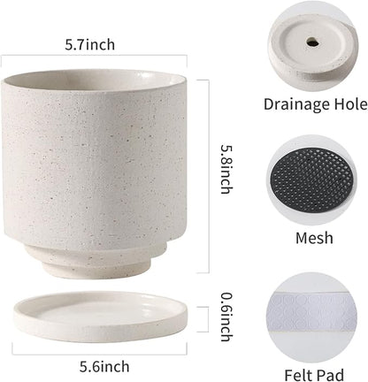 Ceramic Plant Pot with Resin Climbing Tortoise Figure, 5.75 Inch,White | Drainage Hole and Saucer, Cylinder Shape, Indoor Use, Home Garden