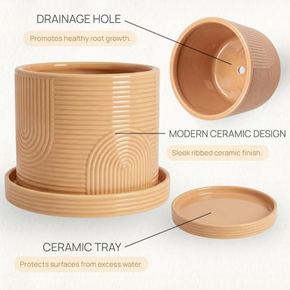 6 Inch Ceramic Plant Pot with Drainage Hole & Tray – Indoor Planter for Succulents, Herbs & Houseplants – Modern Ceramic Planter with Mesh Pad, Dibber & Widger – Buttercream