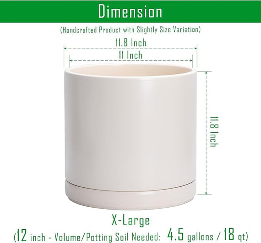 D'vine Dev 12 Inch Ceramic Planter Pot with Drainage Hole and Saucer, Indoor Cylinder Round Planter Pot, Oatmeal, 94-O-F-8