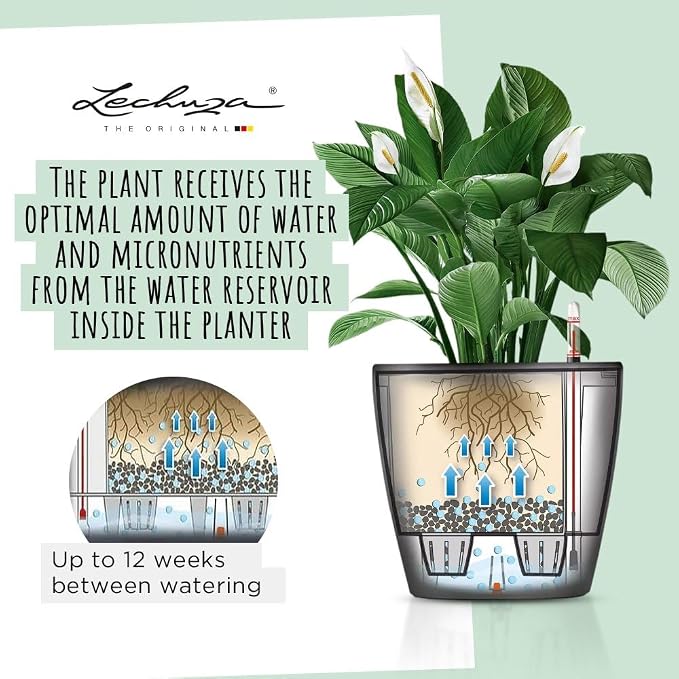 Lechuza Classico LS 28 Charcoal Metallic, Self-Watering Round Planter, D11 H10.2 in