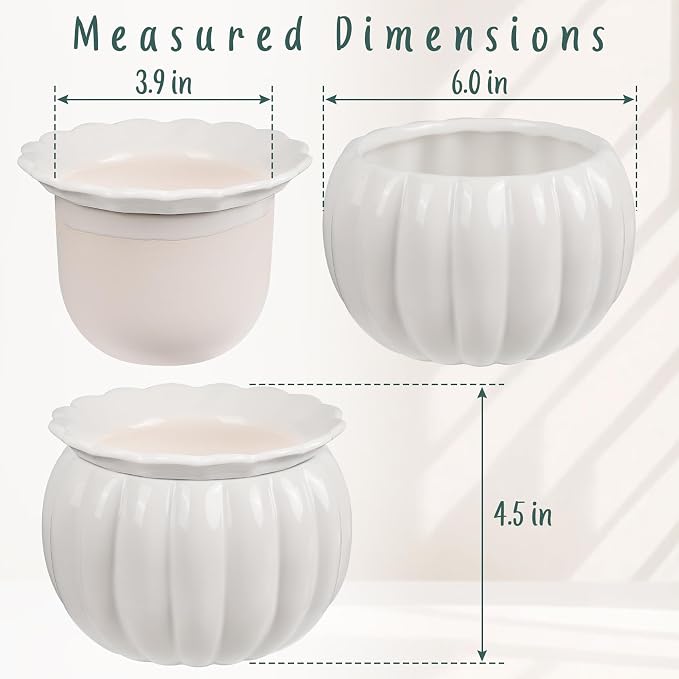 African Violet Pots, Self-Watering Ceramic Planter – 6 Inch Pot for Indoor Plants, Succulents, Herbs & Small Houseplants, Simple Self-Watering Design for Home & Office Décor, White