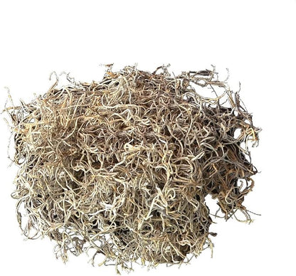 Mosser Lee ML0560 Spanish Moss, 250 Cubic Inches (Pack of 8)