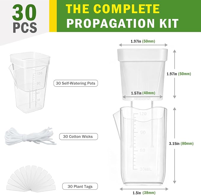 30 Pack 2" Small Self Watering Pots for Indoor Plants with 30 Plant Label Mini Clear Plastic Planters with Water Level and Drainage Holes for Propagation, Succulents,and African Violet