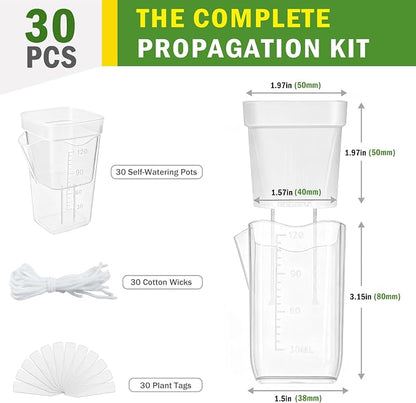 30 Pack 2" Small Self Watering Pots for Indoor Plants with 30 Plant Label Mini Clear Plastic Planters with Water Level and Drainage Holes for Propagation, Succulents,and African Violet