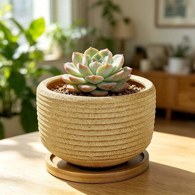 MUZHI Rustic 4 inch Bonsai Plant Pot with Bamboo Tray Set of 4, Unglazed Ceramic Succulent Cactus Pot Indoor Outerdoor with Drainage Hole