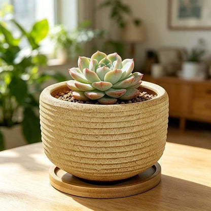 MUZHI Rustic 4 inch Bonsai Plant Pot with Bamboo Tray Set of 4, Unglazed Ceramic Succulent Cactus Pot Indoor Outerdoor with Drainage Hole