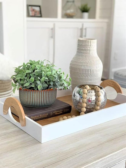 Plant Pots Indoor with Drainage Hole 6 inch Ceramic Plant Pot Sage Green Succulent Pot Small Round Planters for Indoor Outdoor Plants Bonsai Bowl Decorative Flower Pots for Orchid Cactus Snake Plant