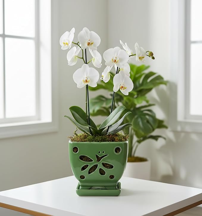 Orchid Pots with Holes Square Ceramic Orchid Planter Pots 5.5 inch (Green)
