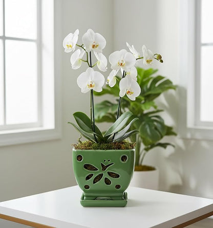 Orchid Pots with Holes Square Ceramic Orchid Planter Pots 5.5 inch (Green)