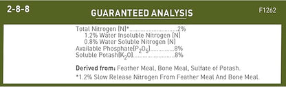 Jobe's Organics Succulent Fertilizer Spikes, Easy Plant Care for Succulent, Cactus, and Aloe Vera Plants, 12 Count