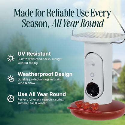 Birdbuddy Solar Hummingbird Feeder with Camera, AI Bird ID, 2K Video, Photo