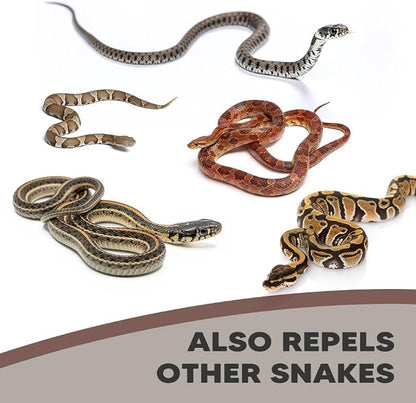 Snake Repellent for Yard, Snake Repellent Outdoor, Snake Away Repellent Outdoor, Snake Deterrent for Yard, Snake Deterrent Outdoor, Backyard Snake Repellent- 10 Packs