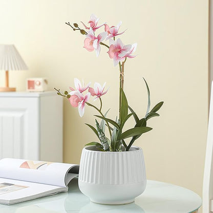OXART Ceramic Plant Pot, 12+9+6.6 inch Large Plant Pot with Drainage, 3 Piece Planters for Indoor Plants, Modern Decor Home Office Garden Flower Pots for Indoor Outdoor Plant Set, White