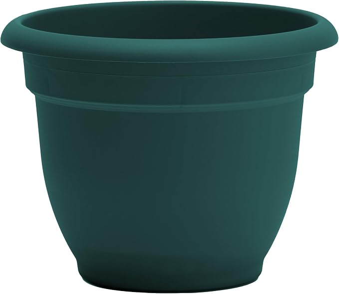 Bloem Ariana 12" Plastic Self-Watering Planter, Charleston Green, 2-Pack | Self-watering disk at the bottom of each pot that acts as a water wick and reservoir for optimal plant health