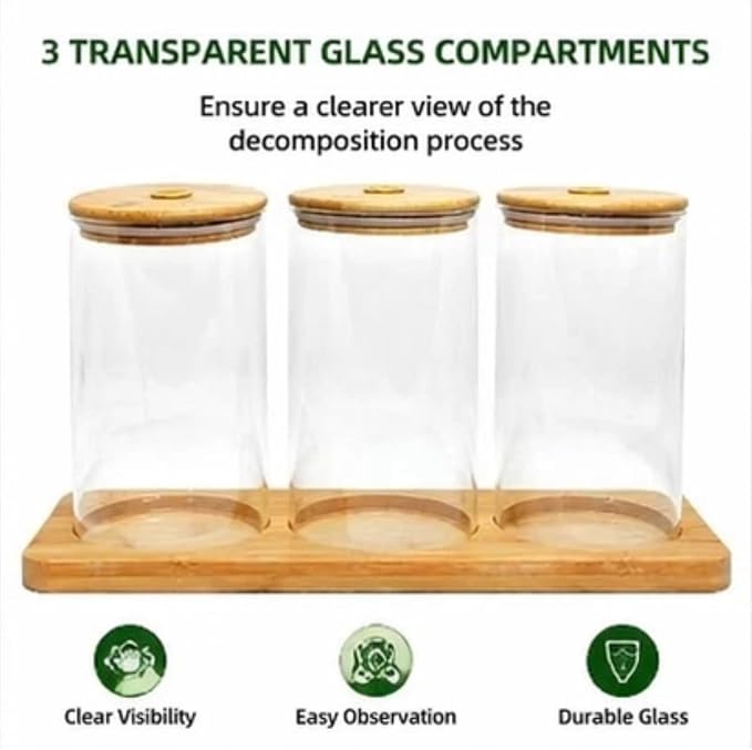 Science Education Worm Compost Experiment bin, Waste Decomposition into composting kit, ant Farming Plant