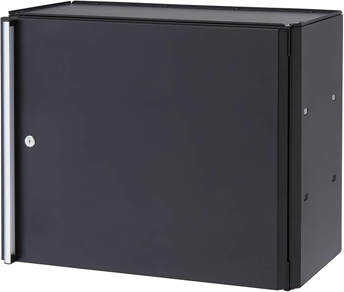 Trinity 24 Inch Garage Wall Storage Cabinet, 22 Gauge Steel, Wall-Mount, Adjustable Shelf and Reversible Door for Tools, Cleaning Supplies, and More, Black