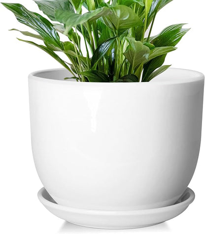 8 Inch Ceramic Planter, Plant Pots with Drainage Hole and Separable Saucer,Indoor-Outdoor Round Succulent Orchid Flower Pot,Indoor pots for Plants(White,Plant Pot only)